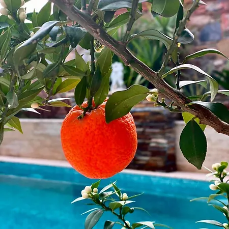 فندق Livia Garden سلجوك